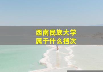 西南民族大学属于什么档次