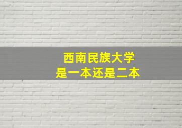 西南民族大学是一本还是二本