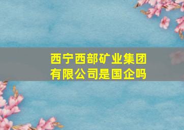 西宁西部矿业集团有限公司是国企吗