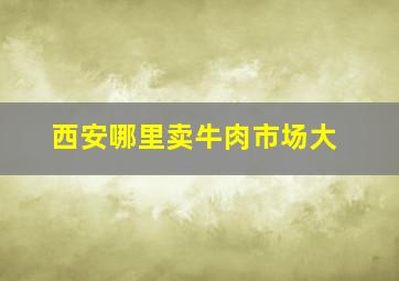 西安哪里卖牛肉市场大