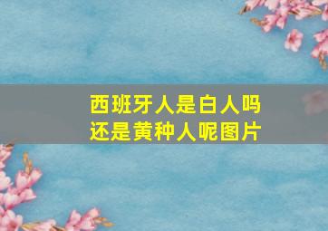 西班牙人是白人吗还是黄种人呢图片