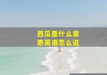 西瓜是什么意思英语怎么说