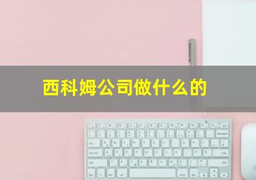 西科姆公司做什么的