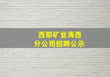 西部矿业海西分公司招聘公示