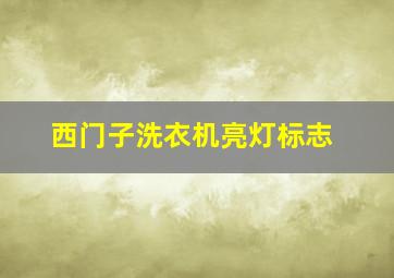 西门子洗衣机亮灯标志