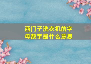 西门子洗衣机的字母数字是什么意思