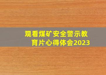 观看煤矿安全警示教育片心得体会2023