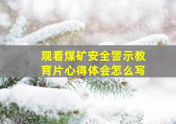 观看煤矿安全警示教育片心得体会怎么写