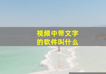 视频中带文字的软件叫什么