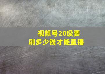 视频号20级要刷多少钱才能直播