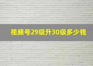 视频号29级升30级多少钱