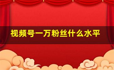 视频号一万粉丝什么水平