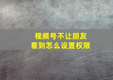 视频号不让朋友看到怎么设置权限