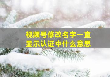 视频号修改名字一直显示认证中什么意思