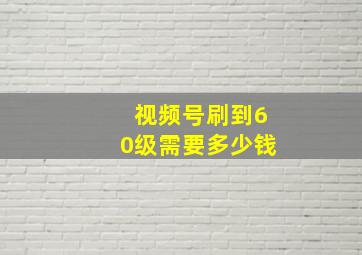 视频号刷到60级需要多少钱