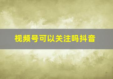 视频号可以关注吗抖音