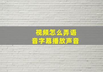 视频怎么弄语音字幕播放声音