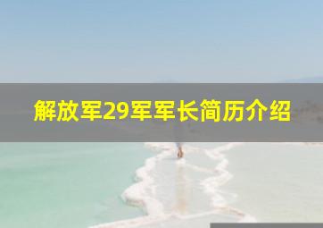 解放军29军军长简历介绍