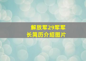 解放军29军军长简历介绍图片