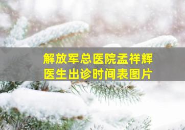 解放军总医院孟祥辉医生出诊时间表图片