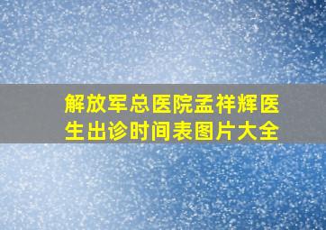 解放军总医院孟祥辉医生出诊时间表图片大全