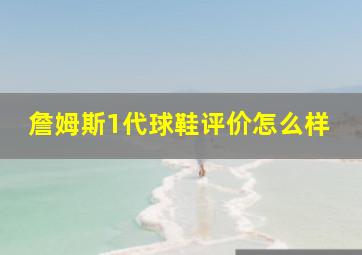 詹姆斯1代球鞋评价怎么样