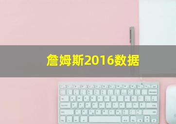 詹姆斯2016数据