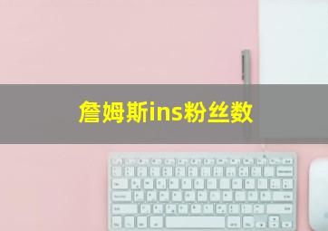 詹姆斯ins粉丝数