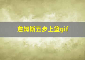 詹姆斯五步上篮gif