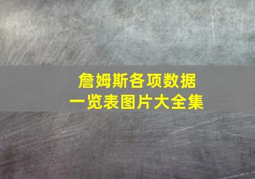 詹姆斯各项数据一览表图片大全集