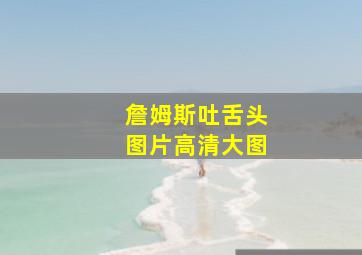 詹姆斯吐舌头图片高清大图