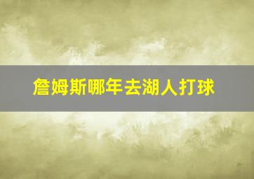 詹姆斯哪年去湖人打球