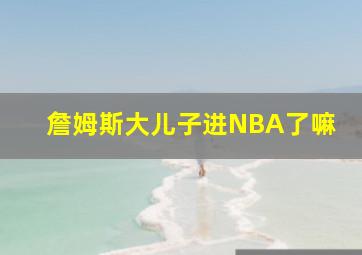 詹姆斯大儿子进NBA了嘛