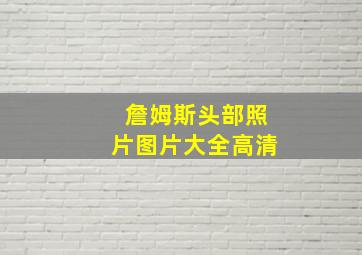 詹姆斯头部照片图片大全高清