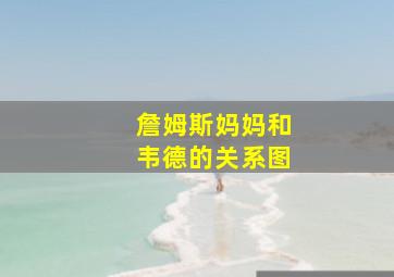 詹姆斯妈妈和韦德的关系图