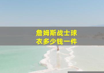 詹姆斯战士球衣多少钱一件