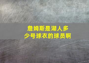 詹姆斯是湖人多少号球衣的球员啊