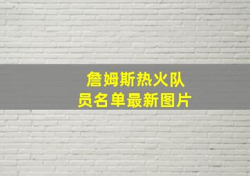 詹姆斯热火队员名单最新图片