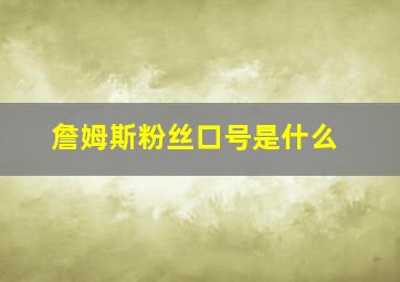 詹姆斯粉丝口号是什么