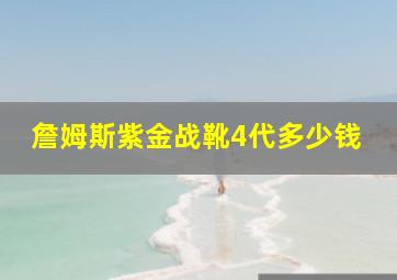 詹姆斯紫金战靴4代多少钱