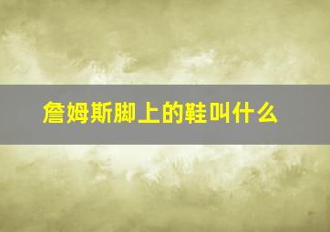 詹姆斯脚上的鞋叫什么