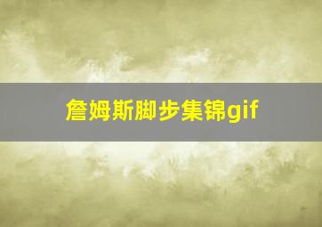 詹姆斯脚步集锦gif