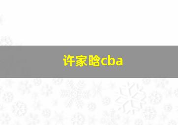 许家晗cba