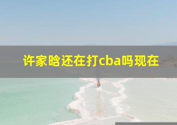 许家晗还在打cba吗现在