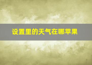 设置里的天气在哪苹果