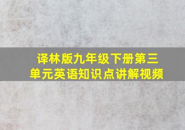 译林版九年级下册第三单元英语知识点讲解视频