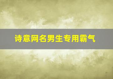 诗意网名男生专用霸气