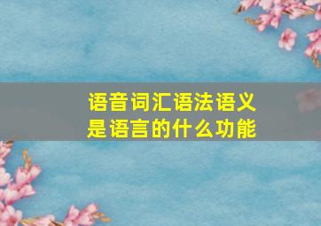 语音词汇语法语义是语言的什么功能