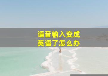 语音输入变成英语了怎么办