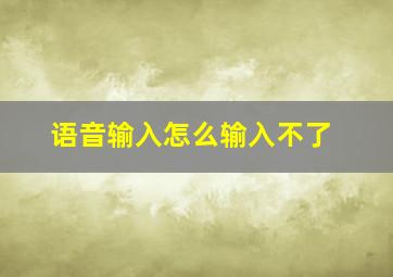 语音输入怎么输入不了